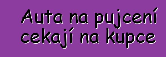 Auta na půjčení čekají na kupce