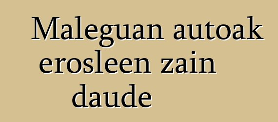 Maleguan autoak erosleen zain daude