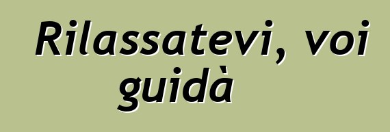 Rilassatevi, voi guidà