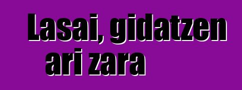Lasai, gidatzen ari zara