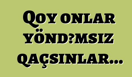 Qoy onlar yöndəmsiz qaçsınlar...