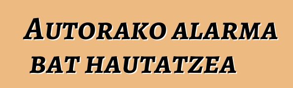 Autorako alarma bat hautatzea