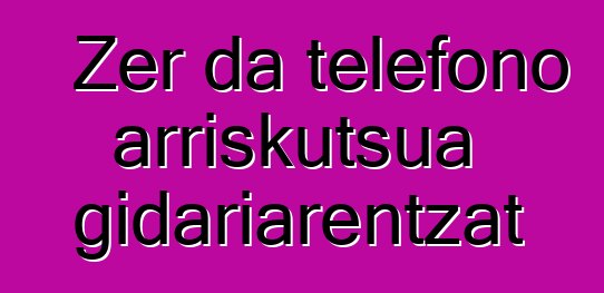 Zer da telefono arriskutsua gidariarentzat