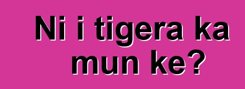 Ni i tigɛra ka mun kɛ?