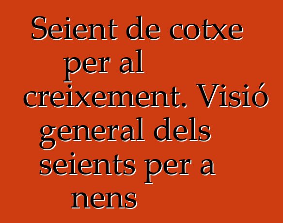 Seient de cotxe per al creixement. Visió general dels seients per a nens