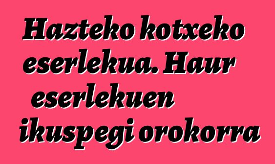 Hazteko kotxeko eserlekua. Haur eserlekuen ikuspegi orokorra