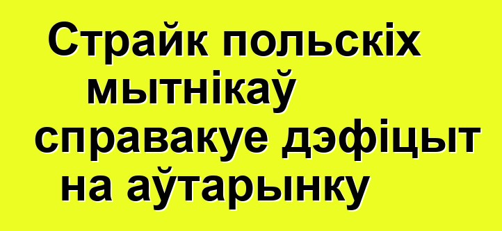 Страйк польскіх мытнікаў справакуе дэфіцыт на аўтарынку