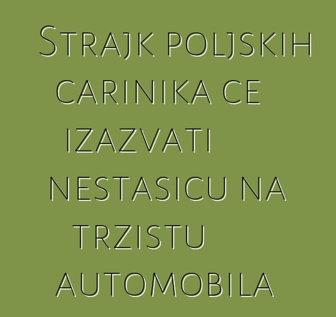 Štrajk poljskih carinika će izazvati nestašicu na tržištu automobila