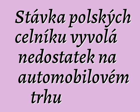 Stávka polských celníků vyvolá nedostatek na automobilovém trhu