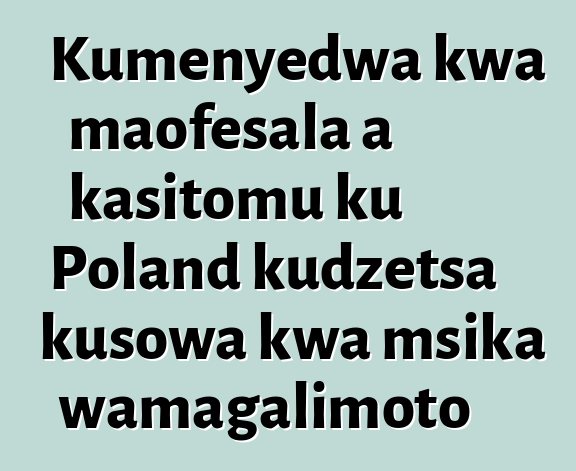 Kumenyedwa kwa maofesala a kasitomu ku Poland kudzetsa kusowa kwa msika wamagalimoto
