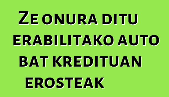Ze onura ditu erabilitako auto bat kredituan erosteak