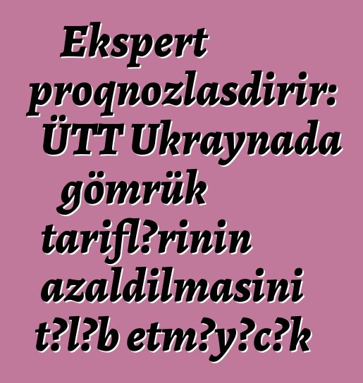 Ekspert proqnozlaşdırır: ÜTT Ukraynada gömrük tariflərinin azaldılmasını tələb etməyəcək