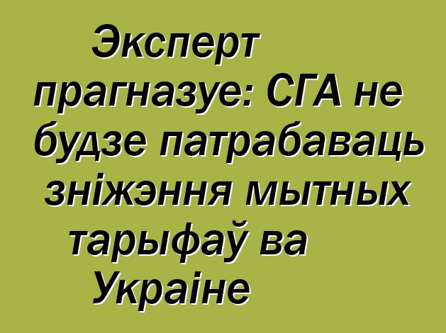 Эксперт прагназуе: СГА не будзе патрабаваць зніжэння мытных тарыфаў ва Украіне