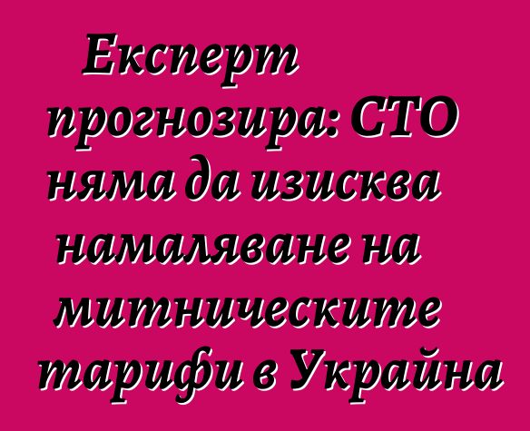 Експерт прогнозира: СТО няма да изисква намаляване на митническите тарифи в Украйна