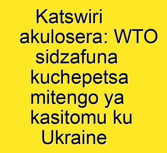 Katswiri akulosera: WTO sidzafuna kuchepetsa mitengo ya kasitomu ku Ukraine