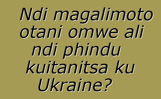 Ndi magalimoto otani omwe ali ndi phindu kuitanitsa ku Ukraine?