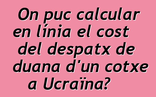 On puc calcular en línia el cost del despatx de duana d'un cotxe a Ucraïna?