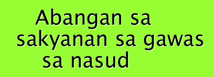 Abangan sa sakyanan sa gawas sa nasud