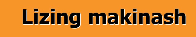 Lizing makinash
