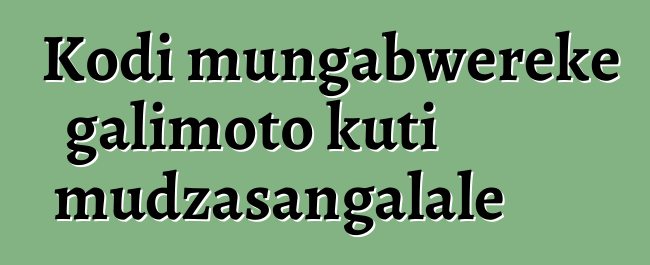 Kodi mungabwereke galimoto kuti mudzasangalale