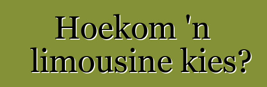 Hoekom 'n limousine kies?