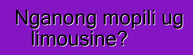 Nganong mopili ug limousine?