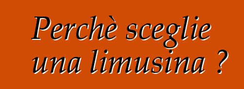 Perchè sceglie una limusina ?