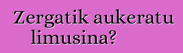 Zergatik aukeratu limusina?