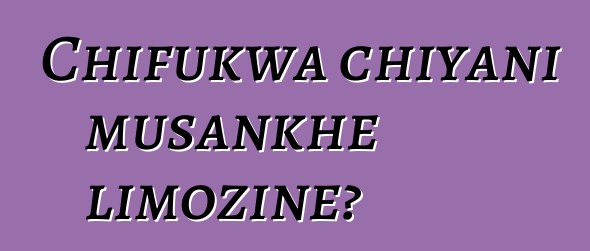 Chifukwa chiyani musankhe limozine?