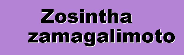 Zosintha zamagalimoto