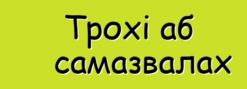 Трохі аб самазвалах