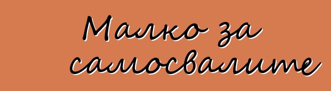 Малко за самосвалите