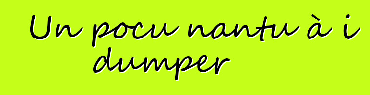 Un pocu nantu à i dumper