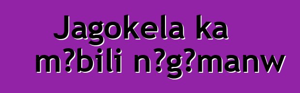 Jagokɛla ka mɔbili nɔgɔmanw