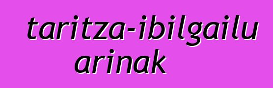 Merkataritza-ibilgailu arinak