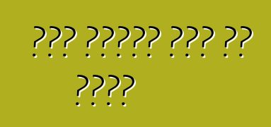 ከባድ መኪናዎች በሊዝ እና በብድር