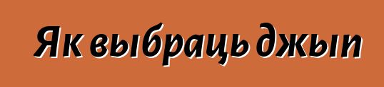 Як выбраць джып
