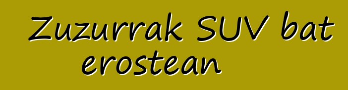 Zuzurrak SUV bat erostean