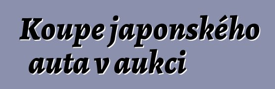 Koupě japonského auta v aukci