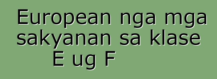 European nga mga sakyanan sa klase E ug F