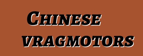 Chinese vragmotors