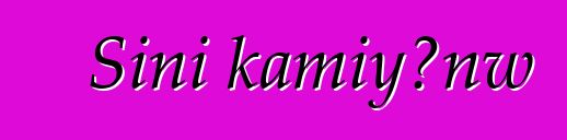 Sini kamiyɔnw