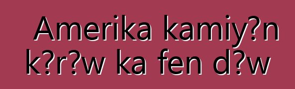 Amerika kamiyɔn kɔrɔw ka fɛn dɔw