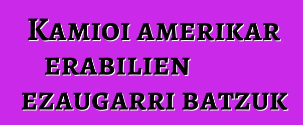 Kamioi amerikar erabilien ezaugarri batzuk