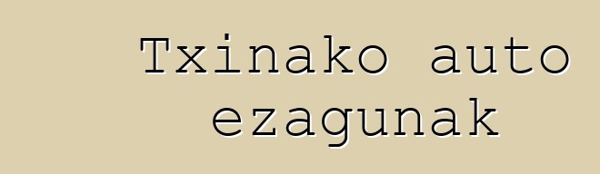 Txinako auto ezagunak