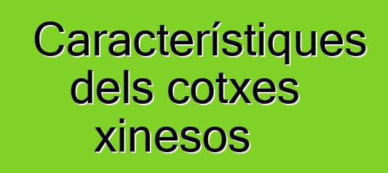 Característiques dels cotxes xinesos