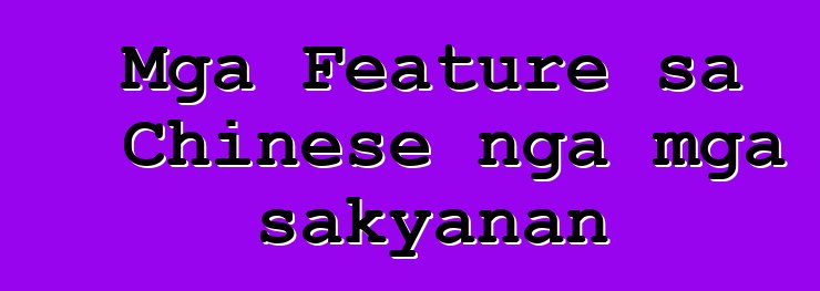 Mga Feature sa Chinese nga mga sakyanan
