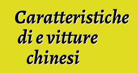 Caratteristiche di e vitture chinesi