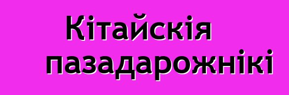 Кітайскія пазадарожнікі