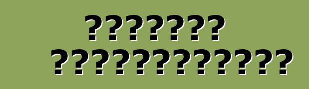 Չինական ամենագնացներ